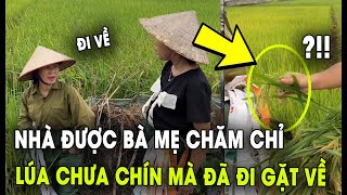 Nhà Có Bà Mẹ Chăm Nhưng Con Dâu Hơi ẤM ẤM | Tin 4S