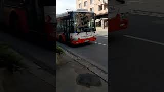 Лінія/linka 2 Nový Hradec Králove (Škoda 31Tr SOR) #bus #shorts