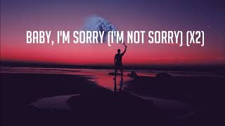 Demi Lovato   Sorry Not Sorry Lyrics