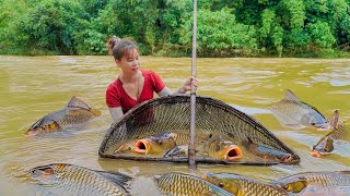 Harvesting A Lot Of Fish At The Flood River Goes To Market Sell. Cooking Fish