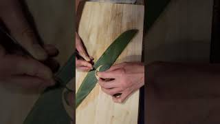 DECORATIVE CUTTING OF A FROG with a bamboo leaf #shorts