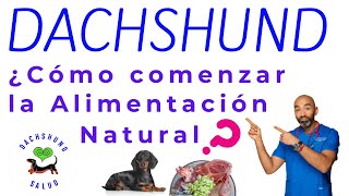 CÓMO EMPEZAR LA ALIMENTACION NATURAL DE TU PERRO SALCHICHA