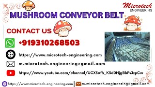 Mushroom Conveyor Belt, Steel Belt Conveyor