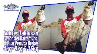 SUKSES TAKLUKAN MONSTER MONSTER BARRAMUNDI DI SPOT PILAR PEMUDA BREBES