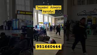 Ташкин алмата в спальне автобус #ташкент #automobile #алматы #travel #автобус #almaty #airport