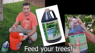 How to fertilize a tree with liquid fertilizer: Apply Thrive from Zamzows