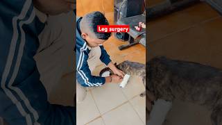 Uparwala Apne Saath Hai - leg surgery dog