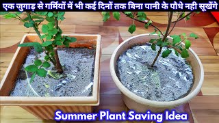 Best Way To Keep Soil Moisture For Longer | Summer Plant Saving Idea #Gardening #Plantcare