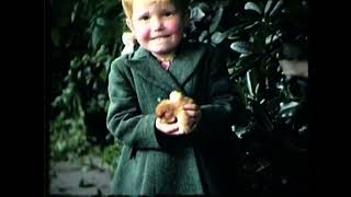 Children & Chickens, Middleton, Manchester, 1940s, filmed by Fred Pedley