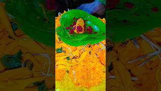 Bathukamma💐😍✨✨🙏🙏 #festival#bathukamma#2024#viral_video#share#shorts