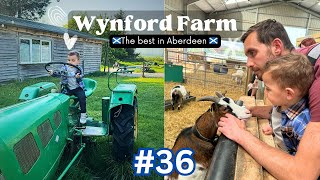 Wynford Farm 🚜 in #Aberdeen 🏴󠁧󠁢󠁳󠁣󠁴󠁿 - An interactive experience for toddlers & adults