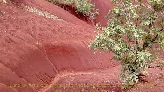 Vetiver System for Gully Erosion Rehabilitation in Ethiopia