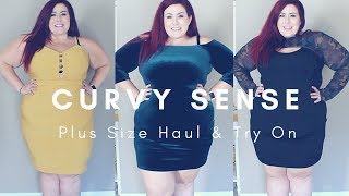 Plus Size Haul & Try On - Curvy Sense