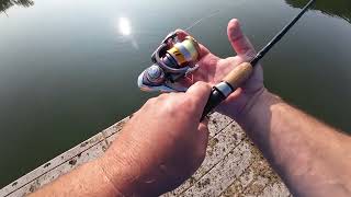 Daiwa Regal Spinning reel fishing review