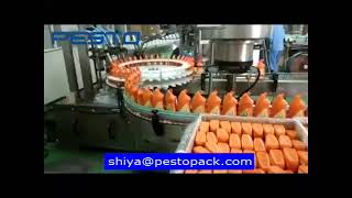 toilet cleaner bottle filling capping machine