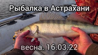 Альтернатива Египту)) Рыбалка в Астрахани весной. 16.03.22