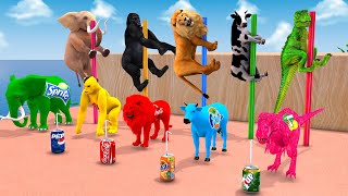 Guess The Right Drink With cow, Elephant, Tiger, Gorilla wild animals game