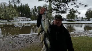 Tips For Shore Fishing For Winter Crappie.