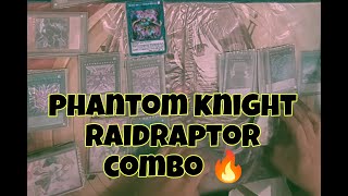 Phantom Knight Raidraptor Combo 🔥 | #Yugioh #YugiohOCG #Alfreduelist