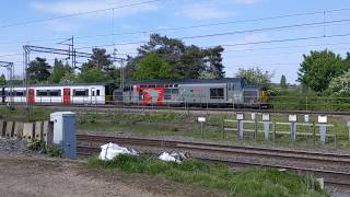 37884 growling on an EMU drag