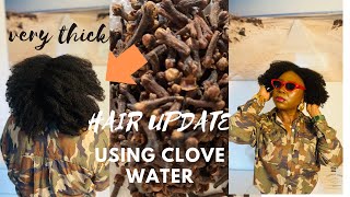 J' AI UTILISÉ L'EAU DE CLOU DE GIROFLE PENDANT 14 JOURS voici le résultat #clovewater #hair #afro