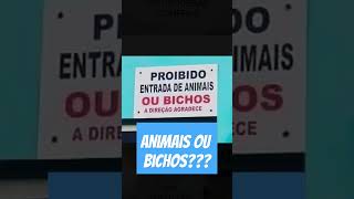 ANIMAIS OU BICHOS? #zueira #meme #português #meme #zueira #portuguêserrado #meme #risada #zueira