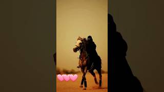 تدري بي احبك وأنا أدري فيك حيل تحبني #اكسبلور #explore #خيل #horse