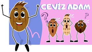 Ceviz adam Şip Şap Şop - Çocuk Şarkıları