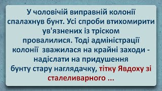 💠 Тітка Явдоха зі Сталеливарного! Українські Анекдоти! Анекдоти Українською! Епізод #242