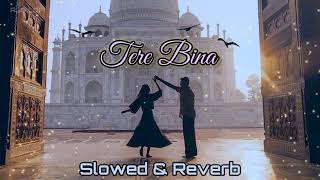 Tere Bina Slowed and Reverb Lofi Song |Guru|Aishwarya Rai|Abhishek| A.R.Rehman