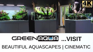 BEAUTIFUL PLANTED AQUARIUMS AT GREEN AQUA BUDAPEST | AQUASCAPING SHOWROOM/GALLERY 2022