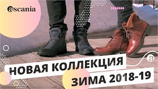 Ascania. Новая коллекция ЗИМА 2018-19