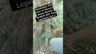 Part 3 Petualangan Kita Hari ini Mencari Bambu Bertuah "BLABUR DAO" Yang Legendaris