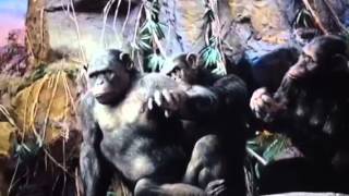 Planet of the Apes Hunger Games Style Trailer