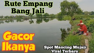 Info Rute Empang Bang Jali || Spot Mancing Mujair Terbaru Sungai Tirem Marunda