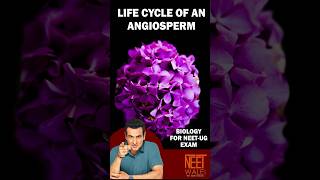 Life Cycle of an Angiosperm | Class 11 | Plant Kingdom | NEET Biology| #neet #science #biology #neet