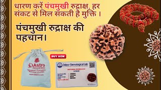 5 Mukhi Rudraksha Ke Fayde | Original Rudraksha | पंचमुखी रुद्राक्ष की पहचान | How to wear Rudraksha