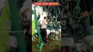 O maior do Brasil e primeiro campeão mundial só tem um, e se chama Palmeiras 😏💚🐷#palmeiras