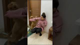 Rashmika Mandanna Fighting With Her Pet Dog at Andheri