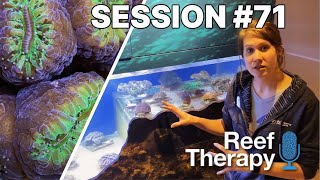 Nursing Corals From the Florida Reef Tract, Invert Poaching and Sara's Fear of HUGE Centipedes | #71