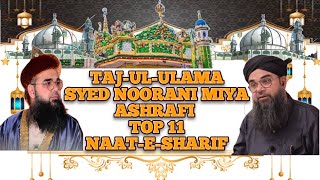 Top 10 Noorani Miya Naats | Soulful Islamic Devotion