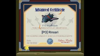 1945 Air Force F15 Nighthawk Advanced Certificate