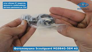 Подробная распаковка фотоловушки Scoutguard MG984G-36M 4G