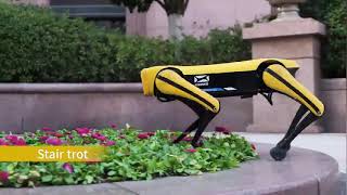 The Quadruped Robot Jueying Mini Lite