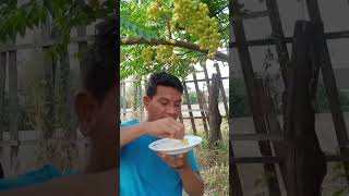 ញ៉ាំកន្ទួត #short #shorts #shortvideo