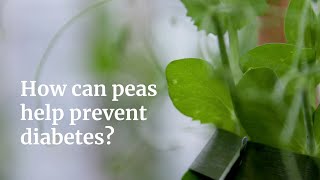 How can peas help prevent diabetes?