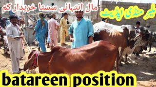 malir mandi latest update| batareen position| 15 October 2024#mashallahgoatfarmawadh