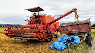 Polskie Żniwa z Bizonem!  Jęczmień 2020