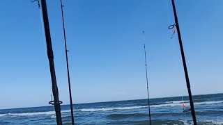 surf fishing in myrtle beach!