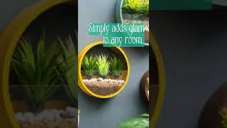 Plants on Wall!! Ornamental Plant Festival!! #senseandtrendz#homedecor #homedecoration#youtubeshort